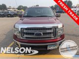 Used 2013 Ford F150 XLT w/ Luxury Equipment Group image 2
