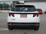 Used 2024 Hyundai Tucson SE image 5