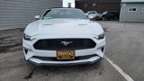 Used 2023 Ford Mustang Premium image 3