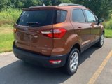 Used 2020 Ford EcoSport SE image 6