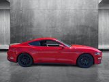 Used 2019 Ford Mustang Coupe image 4