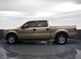 Used 2011 Ford F150 XLT w/ XLT Convenience Pkg image 3