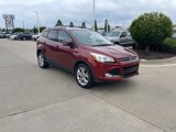Used 2014 Ford Escape Titanium image 3