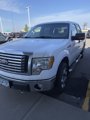 Used 2010 Ford F150 XLT image 4