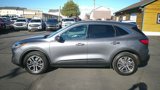 Used 2021 Ford Escape SEL image 2
