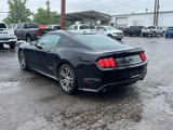 Used 2016 Ford Mustang Premium w/ Equipment Group 201A image 5