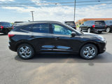 New 2024 Ford Escape ST-Line w/ Tech Pack #1 image 5