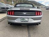 Certified 2022 Ford Mustang Premium image 5
