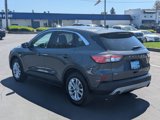 Used 2020 Ford Escape SE image 4