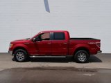 Used 2010 Ford F150 Lariat image 2