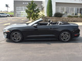 Used 2020 Ford Mustang Premium image 2