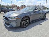 Used 2019 Ford Mustang Premium image 3