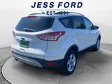 Used 2016 Ford Escape SE w/ SE Leather Comfort Package image 5