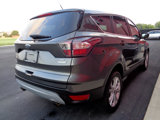 Used 2017 Ford Escape SE w/ SE Cold Weather Package image 5