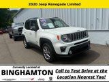 Used 2020 Jeep Renegade Limited image 2