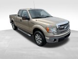 Used 2013 Ford F150 XLT w/ XLT Chrome Pkg image 3