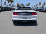 Used 2022 Ford Mustang Premium image 4