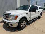 Used 2014 Ford F150 XLT w/ Equipment Group 302A Luxury image 2