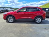 Certified 2022 Ford Escape SE image 4