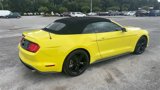 Certified 2021 Ford Mustang Premium image 3