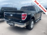 Used 2010 Ford F150 Lariat image 5