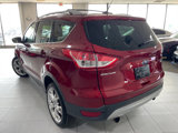 Used 2013 Ford Escape Titanium image 5