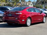 Used 2014 Ford Fusion Energi Titanium w/ Driver Assist Package image 3