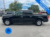 Used 2016 Ford F150 XLT image 6