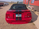 Used 2001 Ford Mustang GT image 6