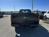New 2024 Ford F150 XL image 4