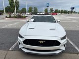 Used 2019 Ford Mustang Premium image 2
