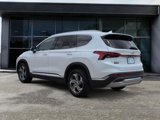 Used 2022 Hyundai Santa Fe SEL w/ Cargo Package image 4