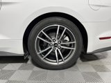 Used 2017 Ford Mustang Premium image 6
