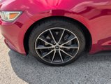 Used 2016 Ford Mustang Premium w/ Wheel & Stripe Package image 2