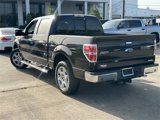 Used 2013 Ford F150 XLT w/ Luxury Equipment Group image 5