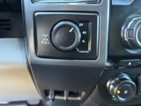 Used 2017 Ford F150 XLT w/ Equipment Group 302A Luxury image 6