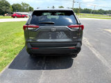 Used 2020 Toyota RAV4 XLE Premium image 3