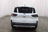 Used 2020 Ford Escape SE image 5