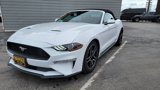 Used 2023 Ford Mustang Premium image 2