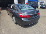 Used 2013 Honda Accord EX-L image 4