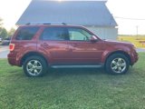 Used 2010 Ford Escape Limited image 6