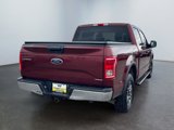 Used 2016 Ford F150 XLT image 5