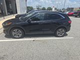 Used 2020 Ford Escape SEL image 3