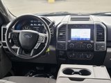 Used 2020 Ford F150 XLT w/ Equipment Group 302A Luxury image 2