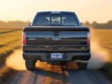 Used 2014 Ford F150 FX4 w/ Equipment Group 402A Luxury image 5