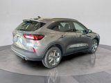 New 2025 Ford Escape ST-Line w/ Cold Weather Package image 5