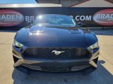 Used 2019 Ford Mustang Coupe image 2