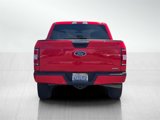 Used 2019 Ford F150 XL w/ Equipment Group 101A Mid image 5