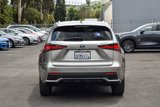 Used 2020 Lexus NX 300h AWD w/ Premium Package image 5