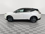 New 2025 Nissan Murano SL image 5
